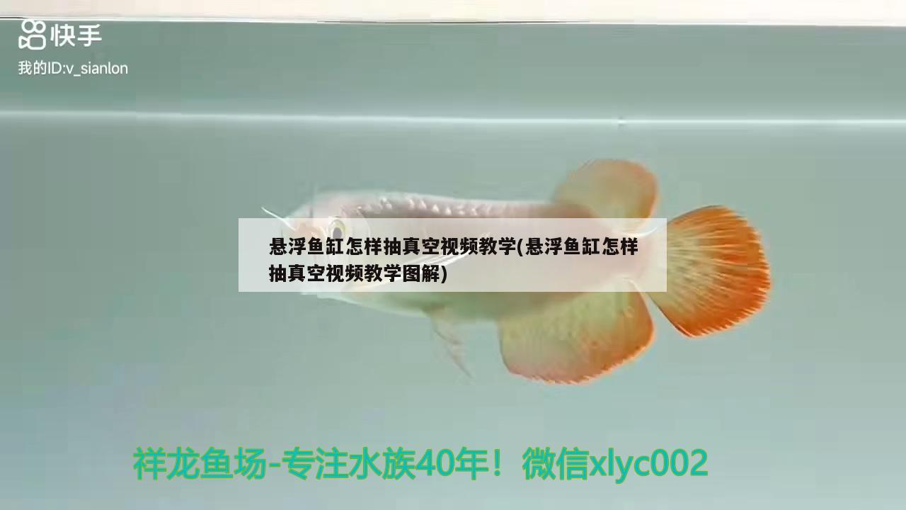 懸浮魚缸怎樣抽真空視頻教學(xué)(懸浮魚缸怎樣抽真空視頻教學(xué)圖解)