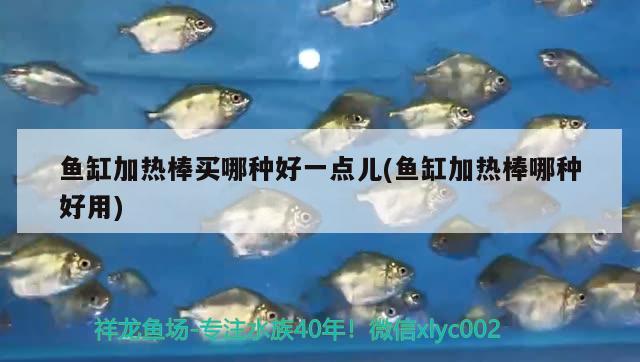 魚缸加熱棒買哪種好一點(diǎn)兒(魚缸加熱棒哪種好用) 委內(nèi)瑞拉奧里諾三間魚苗