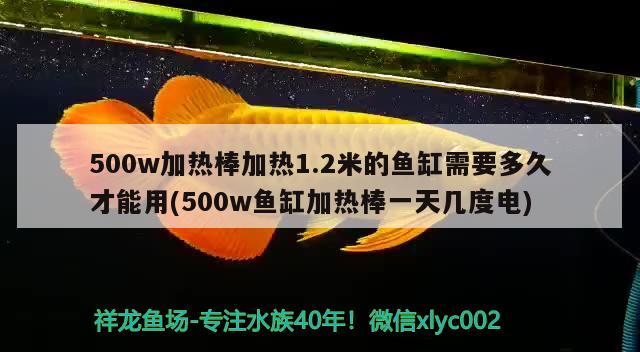 500w加熱棒加熱1.2米的魚缸需要多久才能用(500w魚缸加熱棒一天幾度電) 黃鰭鯧魚