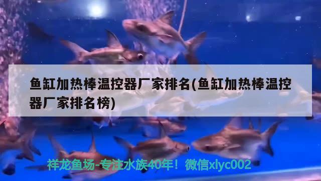 魚缸加熱棒溫控器廠家排名(魚缸加熱棒溫控器廠家排名榜) 肥料