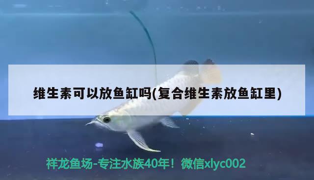 維生素可以放魚(yú)缸嗎(復(fù)合維生素放魚(yú)缸里) 水族用品