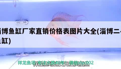 淄博魚缸廠家直銷價格表圖片大全(淄博二手魚缸) 大日玉鯖魚