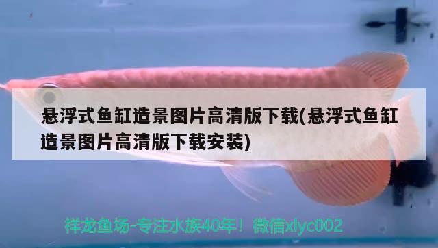 懸浮式魚缸造景圖片高清版下載(懸浮式魚缸造景圖片高清版下載安裝)