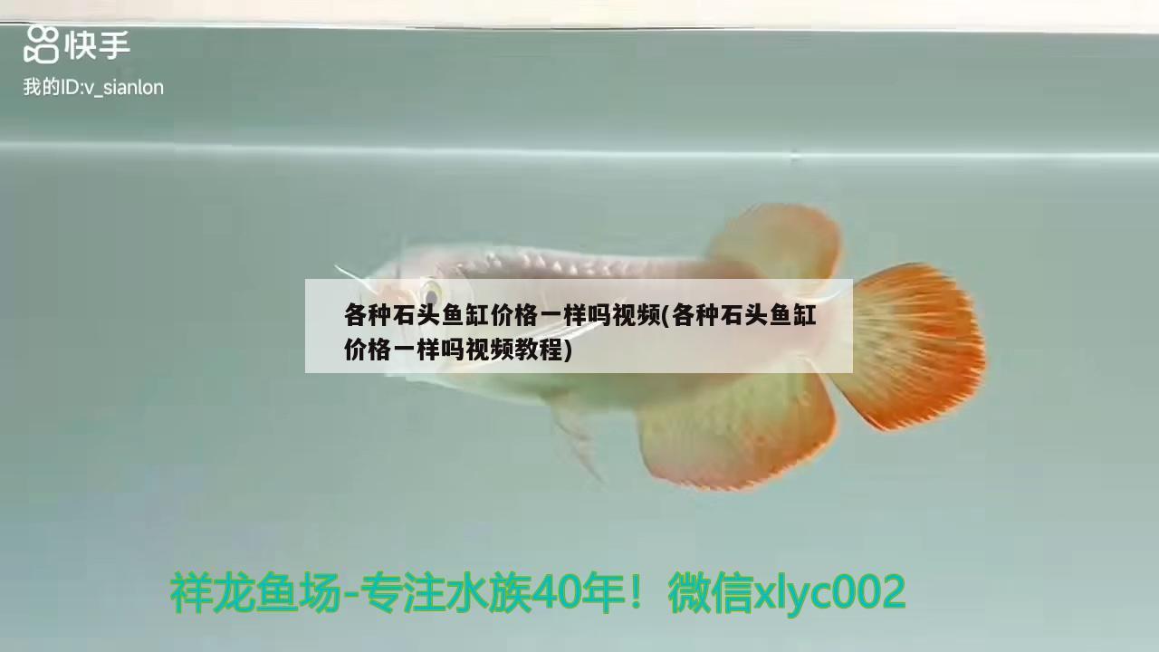 各種石頭魚缸價格一樣嗎視頻(各種石頭魚缸價格一樣嗎視頻教程)