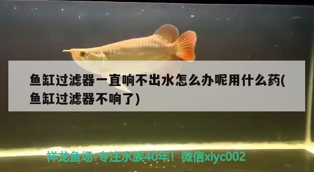 魚缸過濾器一直響不出水怎么辦呢用什么藥(魚缸過濾器不響了)