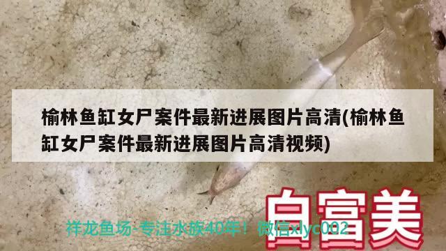 榆林魚缸女尸案件最新進(jìn)展圖片高清(榆林魚缸女尸案件最新進(jìn)展圖片高清視頻)