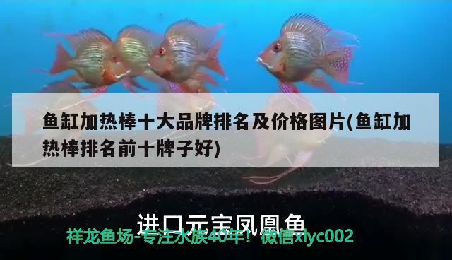 魚缸加熱棒十大品牌排名及價格圖片(魚缸加熱棒排名前十牌子好)