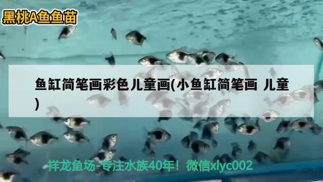 魚缸簡筆畫彩色兒童畫(小魚缸簡筆畫兒童)