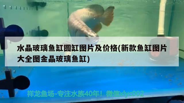 水晶玻璃魚缸圓缸圖片及價(jià)格(新款魚缸圖片大全圖金晶玻璃魚缸)