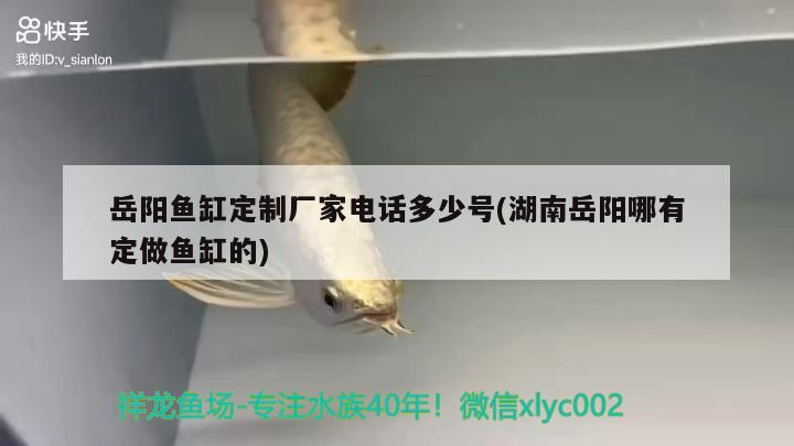 岳陽魚缸定制廠家電話多少號(湖南岳陽哪有定做魚缸的)