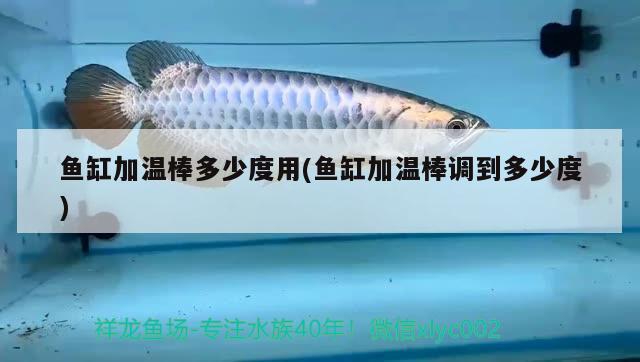 魚缸加溫棒多少度用(魚缸加溫棒調(diào)到多少度) 銀龍魚百科 第2張