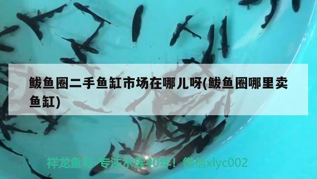 鲅魚圈二手魚缸市場在哪兒呀(鲅魚圈哪里賣魚缸) 黑白雙星魚