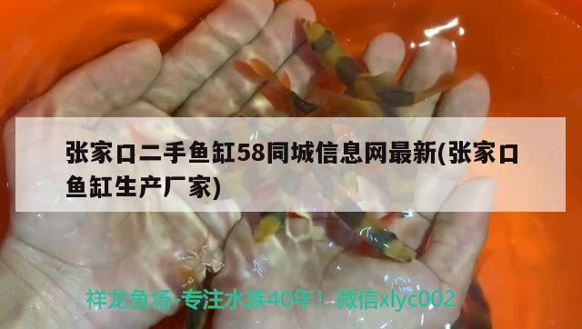 張家口二手魚缸58同城信息網(wǎng)最新(張家口魚缸生產(chǎn)廠家) 可麗愛魚缸