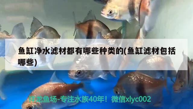 魚缸凈水濾材都有哪些種類的(魚缸濾材包括哪些)