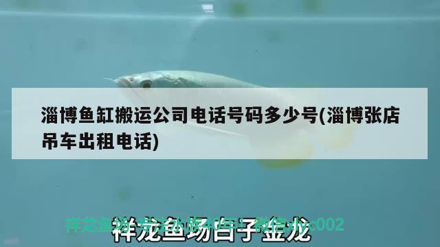 淄博魚缸搬運(yùn)公司電話號碼多少號(淄博張店吊車出租電話) 喂食器