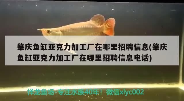 肇慶魚缸亞克力加工廠在哪里招聘信息(肇慶魚缸亞克力加工廠在哪里招聘信息電話)