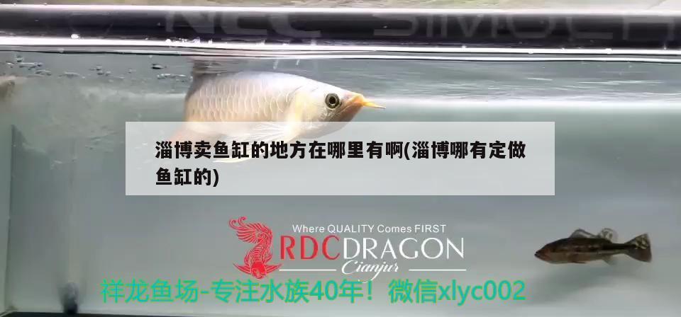 淄博賣魚缸的地方在哪里有啊(淄博哪有定做魚缸的) 水族燈（魚缸燈）