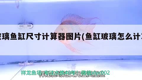 玻璃魚缸尺寸計算器圖片(魚缸玻璃怎么計算)