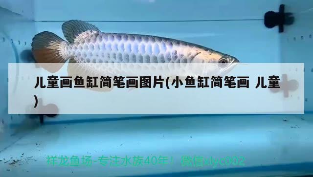 兒童畫魚缸簡筆畫圖片(小魚缸簡筆畫兒童)