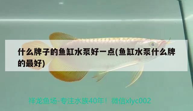 什么牌子的魚缸水泵好一點(魚缸水泵什么牌的最好) 魚缸水泵