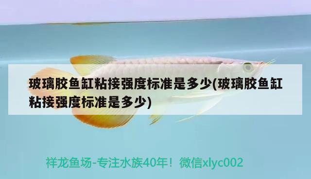 玻璃膠魚缸粘接強(qiáng)度標(biāo)準(zhǔn)是多少(玻璃膠魚缸粘接強(qiáng)度標(biāo)準(zhǔn)是多少)