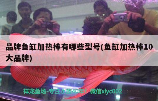 品牌魚缸加熱棒有哪些型號(魚缸加熱棒10大品牌) 黑桃A魚