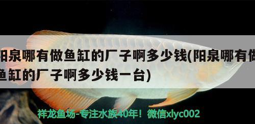 陽(yáng)泉哪有做魚缸的廠子啊多少錢(陽(yáng)泉哪有做魚缸的廠子啊多少錢一臺(tái)) 黃鰭鯧魚