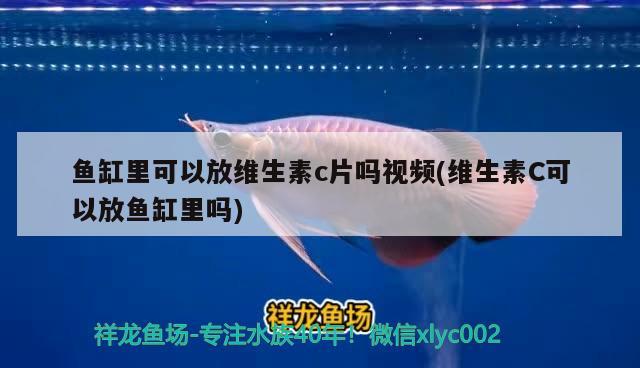 魚(yú)缸里可以放維生素c片嗎視頻(維生素C可以放魚(yú)缸里嗎)