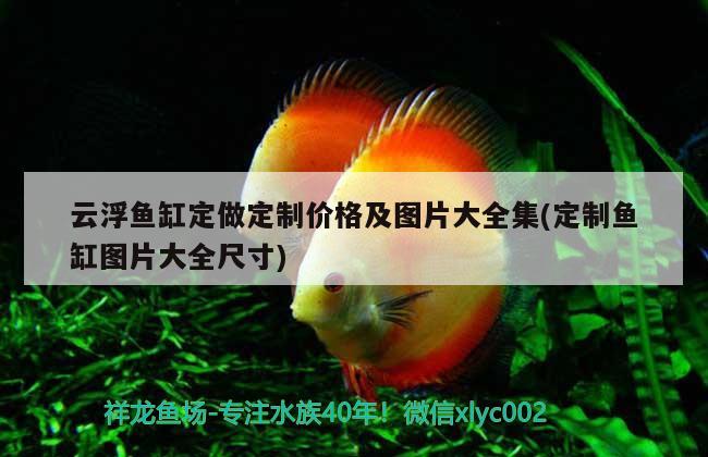 云浮魚缸定做定制價格及圖片大全集(定制魚缸圖片大全尺寸) 紅龍魚百科