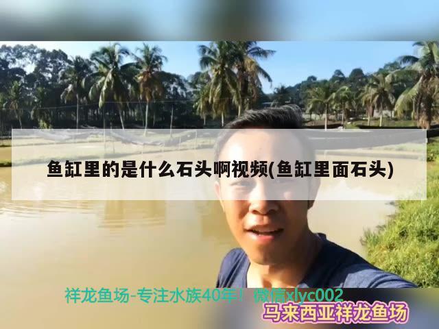 魚缸里的是什么石頭啊視頻(魚缸里面石頭) 照明器材