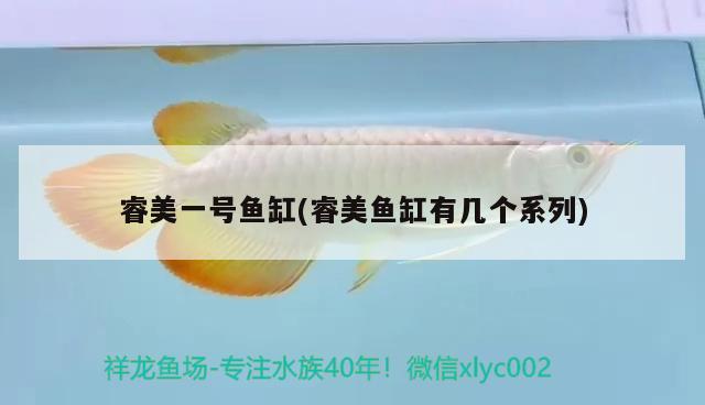 睿美一號(hào)魚缸(睿美魚缸有幾個(gè)系列)