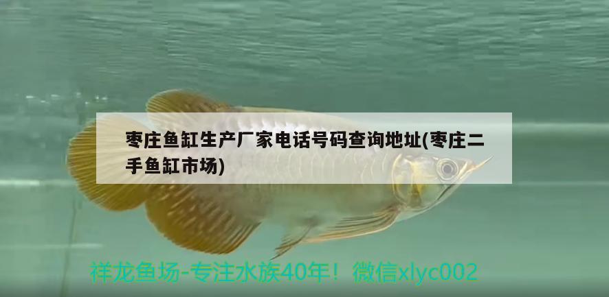 棗莊魚缸生產(chǎn)廠家電話號碼查詢地址(棗莊二手魚缸市場) 黑金魟魚