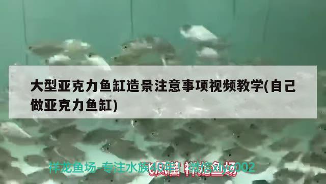 大型亞克力魚缸造景注意事項視頻教學(自己做亞克力魚缸)