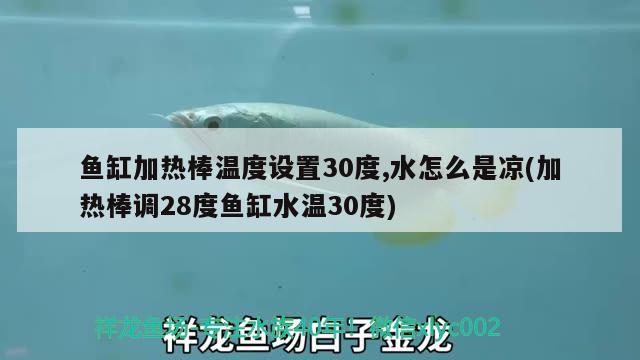 魚缸加熱棒溫度設(shè)置30度,水怎么是涼(加熱棒調(diào)28度魚缸水溫30度) 印尼四紋虎