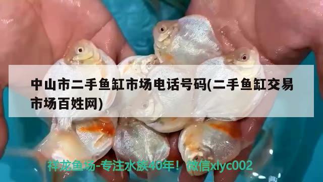 中山市二手魚缸市場電話號碼(二手魚缸交易市場百姓網(wǎng))