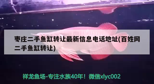 棗莊二手魚缸轉(zhuǎn)讓最新信息電話地址(百姓網(wǎng)二手魚缸轉(zhuǎn)讓)