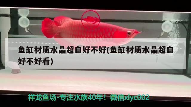 魚缸材質(zhì)水晶超白好不好(魚缸材質(zhì)水晶超白好不好看)