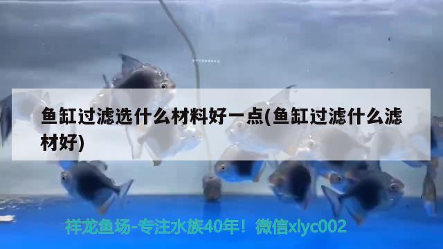 魚缸過濾選什么材料好一點(魚缸過濾什么濾材好) 皇冠黑白魟魚