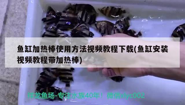 魚缸加熱棒使用方法視頻教程下載(魚缸安裝視頻教程帶加熱棒)