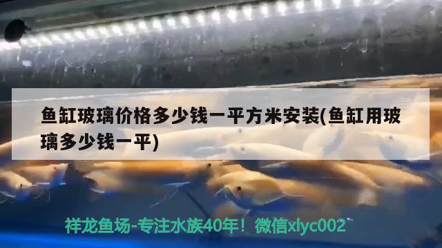 魚缸玻璃價格多少錢一平方米安裝(魚缸用玻璃多少錢一平)