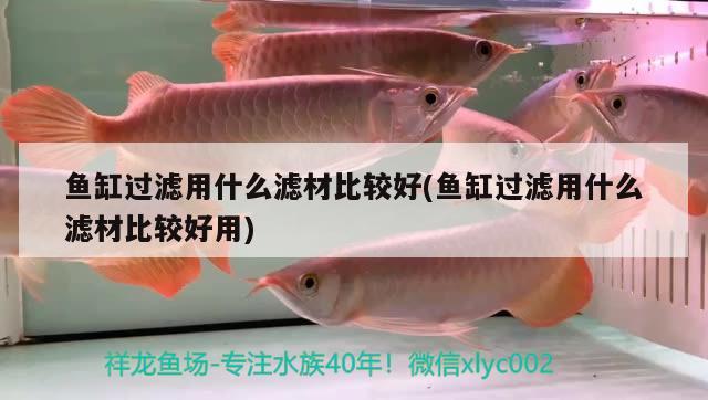 魚(yú)缸過(guò)濾用什么濾材比較好(魚(yú)缸過(guò)濾用什么濾材比較好用) 三色錦鯉魚(yú)