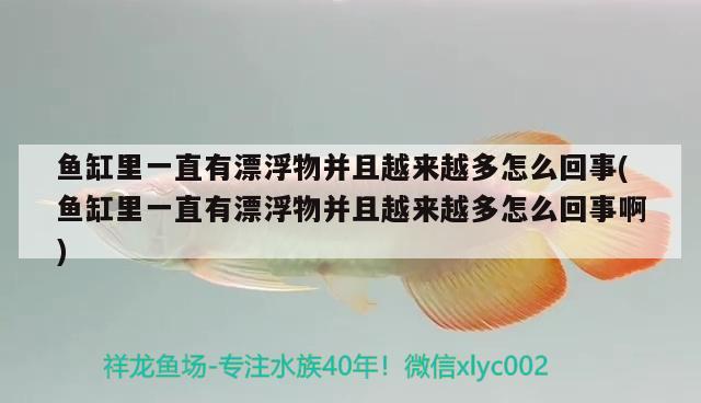 魚缸里一直有漂浮物并且越來越多怎么回事(魚缸里一直有漂浮物并且越來越多怎么回事啊)