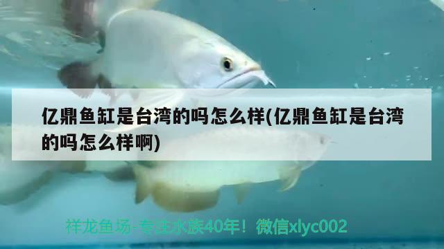 億鼎魚(yú)缸是臺(tái)灣的嗎怎么樣(億鼎魚(yú)缸是臺(tái)灣的嗎怎么樣啊) 祥龍水族護(hù)理水