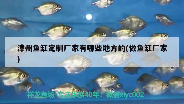 漳州魚缸定制廠家有哪些地方的(做魚缸廠家)