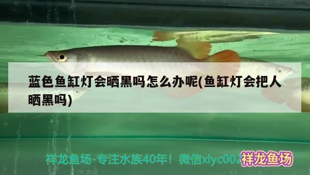 藍(lán)色魚(yú)缸燈會(huì)曬黑嗎怎么辦呢(魚(yú)缸燈會(huì)把人曬黑嗎)