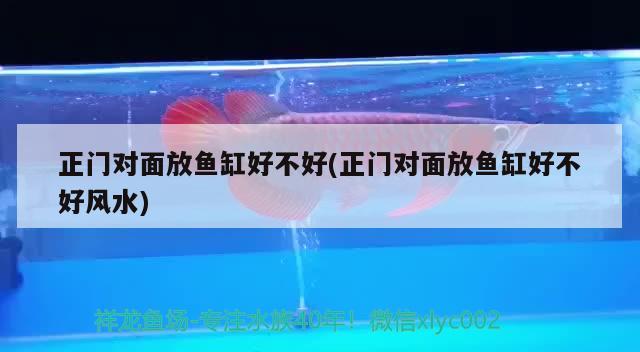 正門對面放魚缸好不好(正門對面放魚缸好不好風水) 魚缸風水