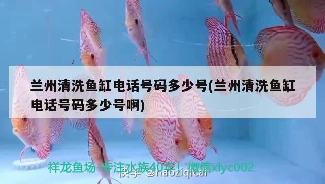 蘭州清洗魚(yú)缸電話號(hào)碼多少號(hào)(蘭州清洗魚(yú)缸電話號(hào)碼多少號(hào)啊) 委內(nèi)瑞拉奧里諾三間魚(yú)苗