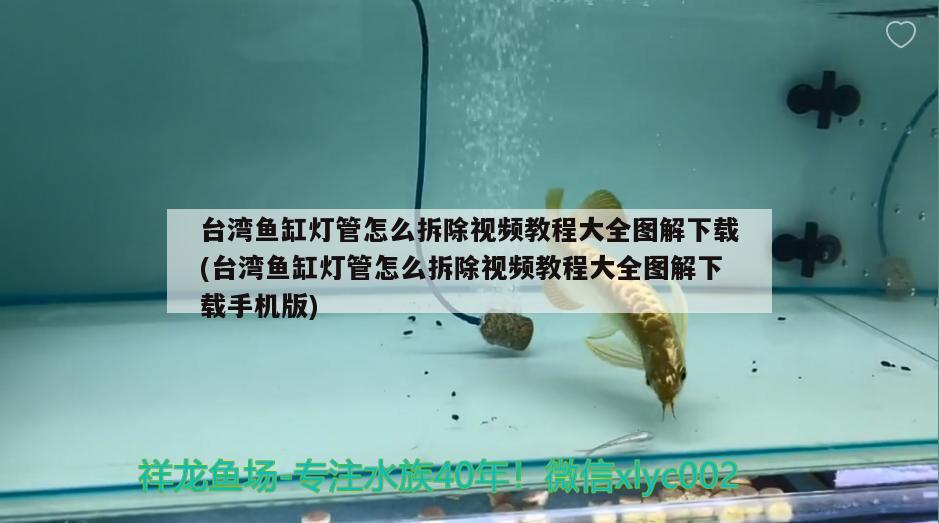 臺(tái)灣魚缸燈管怎么拆除視頻教程大全圖解下載(臺(tái)灣魚缸燈管怎么拆除視頻教程大全圖解下載手機(jī)版) 沖氧泵