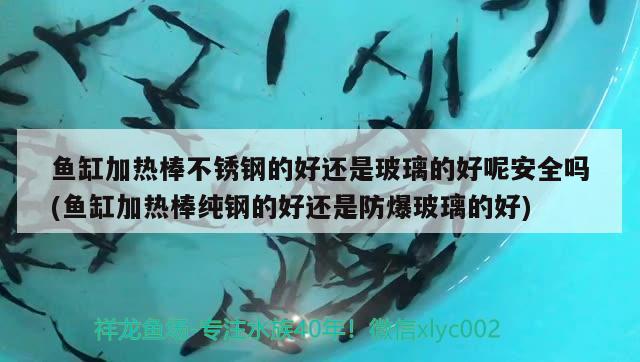 魚缸加熱棒不銹鋼的好還是玻璃的好呢安全嗎(魚缸加熱棒純鋼的好還是防爆玻璃的好) 黃金貓魚百科