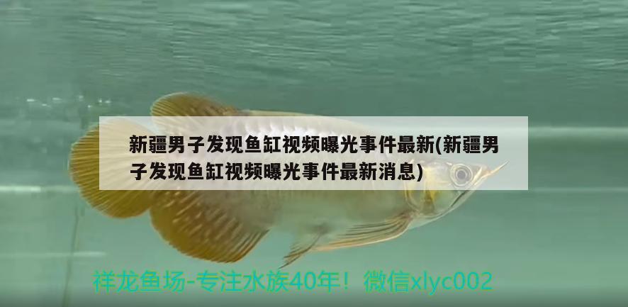 新疆男子發(fā)現(xiàn)魚(yú)缸視頻曝光事件最新(新疆男子發(fā)現(xiàn)魚(yú)缸視頻曝光事件最新消息)